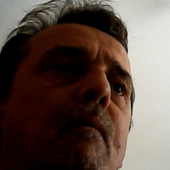 Willi Vorschaubild